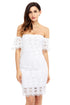Sexy White Short Sleeve Off Shoulder Lace Bodycon Dress